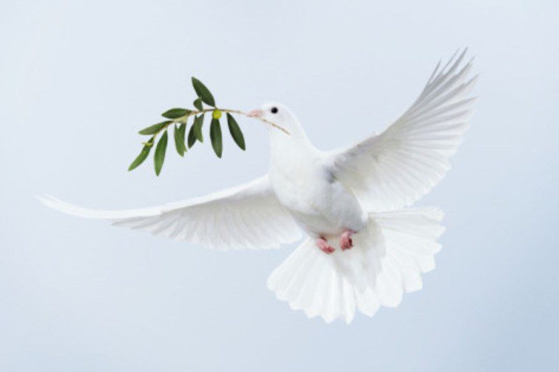 PRAZNOVANJE IZOLSKE LEGENDE 22. – 24. 10. 2021