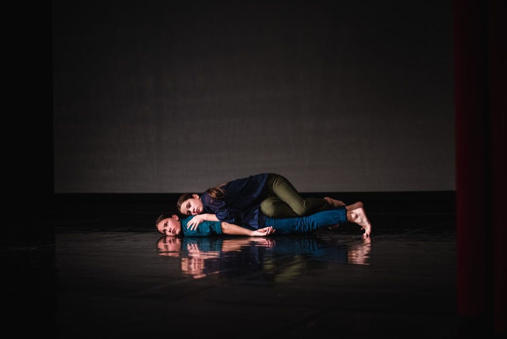 NEPREMIČNINA tloris plesnega bivanja