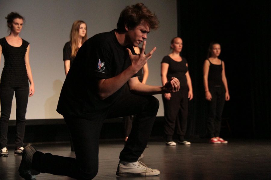 MEDNARODNA POLETNA GLEDALIŠKA ŠOLA