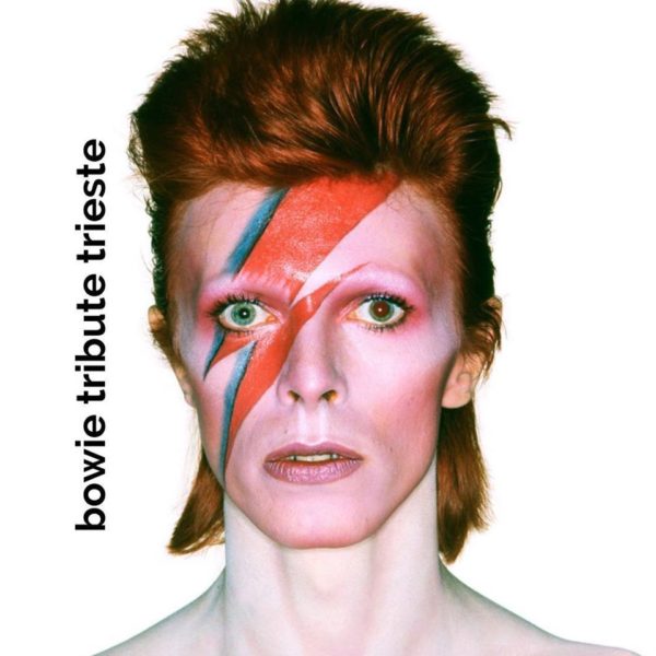 Stardust – David Bowie Tribute Band