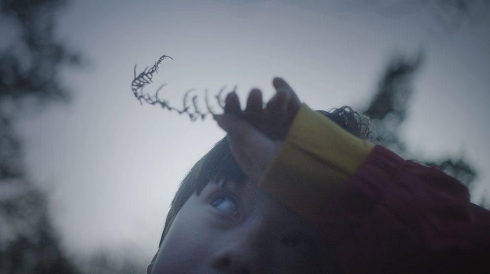 Zakaj skačem – Kino v živo