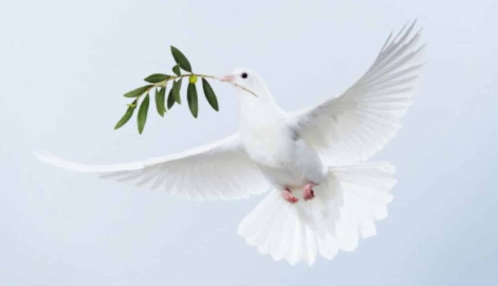 PRAZNOVANJE IZOLSKE LEGENDE