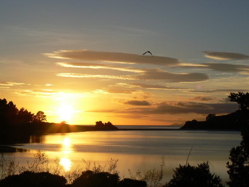 Damjan Jevšnik: Nova Zelandija