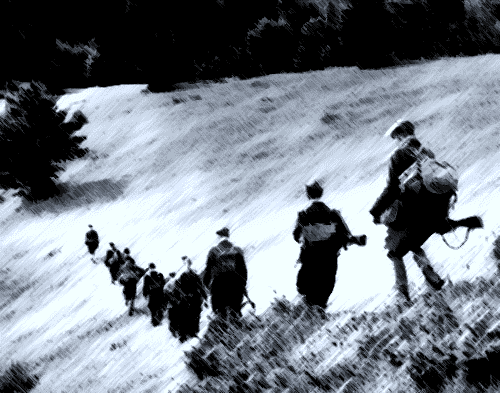 SLOVESNOST ZVEZE BORCEV IZOLA