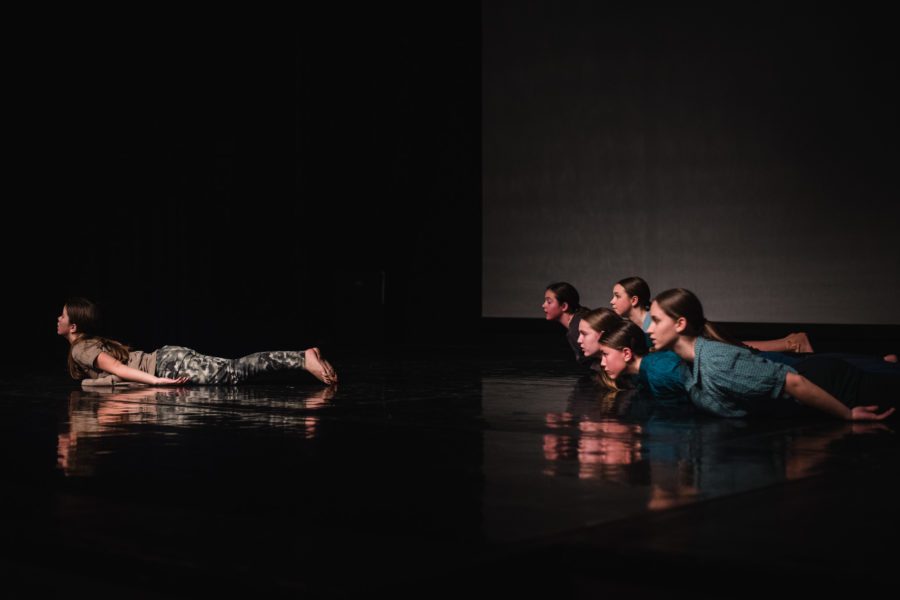 PLESNO DRUŠTVO PLESNI STUDIO LAI