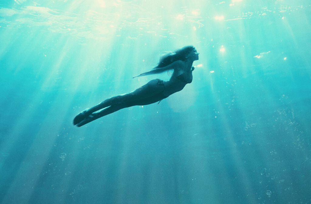 KINO POD ZVEZDAMI V ARRIGONIJU: PARTHENOPE