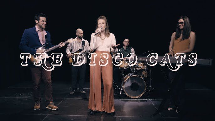 POLETJE V PARKU: The disco cats